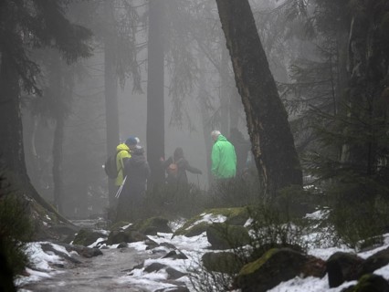 Hiking group on winter trail with fog, Zittau Mountains, Germany