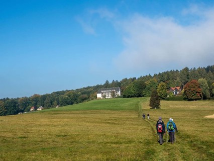 Landscape with meadows, forest and hiking group, Zittau Mountains, Saxony, Germany