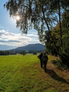 Hiker on sunny trail at Wiesenrand, Lückendorf, Zittau Mountains, Saxony, Germany