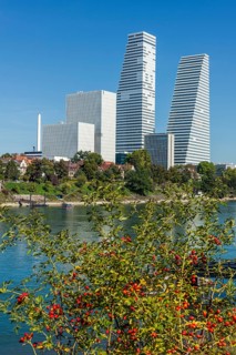 Roche Tower on the Rhine in Basel