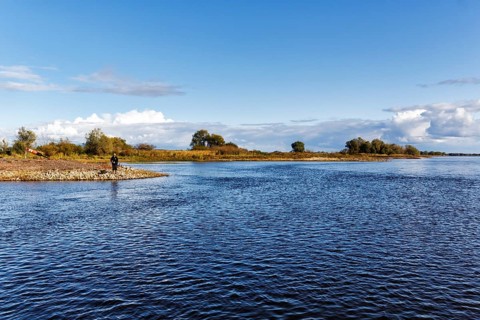 Anglers on the riverbank, river landscape near Bitter, Neuhaus district, Elbe floodplain in Lower