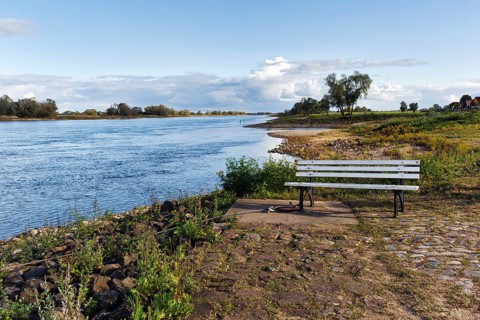 Bench, banks of the Elbe, river landscape, Hitzacker, Lüchow-Dannenberg, Wendland, Elbe floodplain,