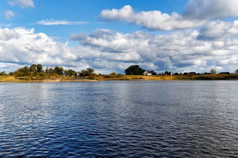 Riverside, river landscape near Amt Neuhaus, Elbe, Lower Saxon Elbe floodplain, Germany