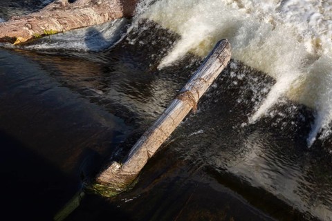 Driftwood logs jammed on hydraulic jumps at base of water diversion dam on Des Mille-Iles RIver in