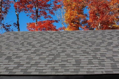 Gable rooftop with nuanced dark and light grey asphalt shingles with Acer - Maple trees in