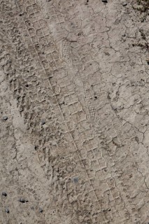 Close-up of multiple bicycle tire tracks in dried light tan mud in late summer, Quebec, Canada
