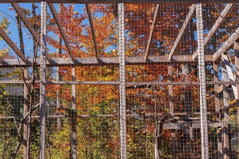 Large wood frame and wire mesh cage for caring and keeping birds in at an animal refuge, Quebec,