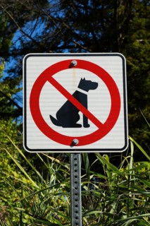 Posted white, red and black pictogram sign warning that dogs are not allowed or forbidden in public