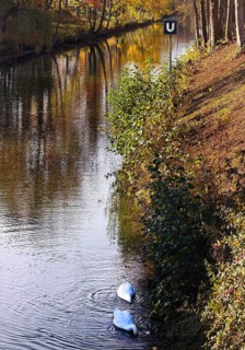 The river Lippe am Lippertor with the artwork Hel by Livia Theuer and Daniel Roskamp,