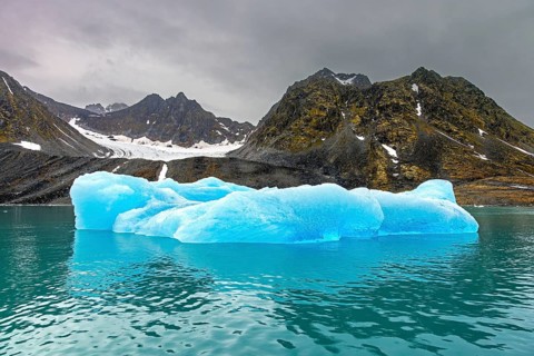 Ice floes calved from Lilliehöökbreen glacier drifting in the Lilliehöökfjorden, fjord branch of