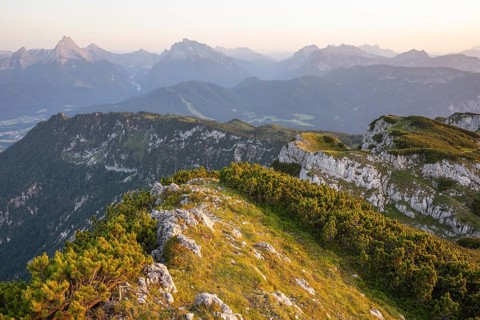 At the Berchtesgaden High Throne in summer at sunset, view of Watzmann. Untersberg, Berchtesgadener