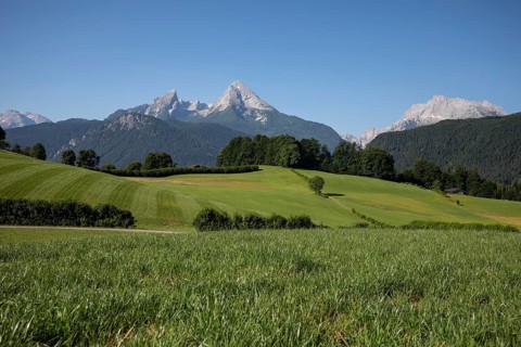 Idyll on Watzmann with summery sky and meadow. Berchtesgaden, Germany