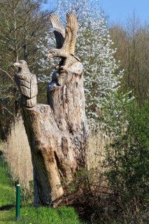 Carved sculpture of a white-tailed eagle (Haliaeetus albicilla) from a tree on the River Peene at