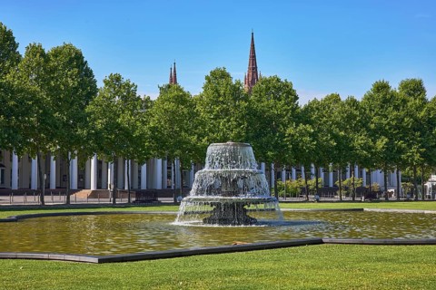 Green area, lawn, bowling green, trees, Platanus × acerifolia (Platanus ×hispanica), cascade
