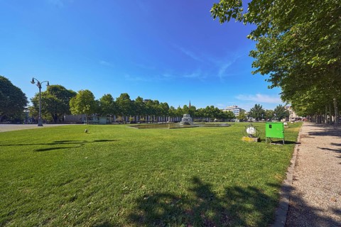Green area, garden, trees, Platanus × acerifolia (Platanus ×hispanica), lawn, bowling green,
