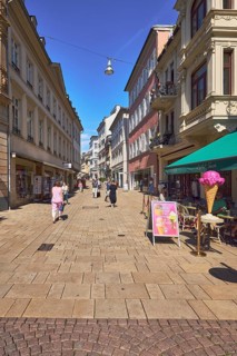 Pedestrian zone, general architecture, residential and commercial buildings, shops, shopping,