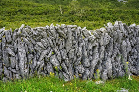 Stone wall in the karst landscape of the Burren, Keelhilla, Carran, County Clare, Ireland