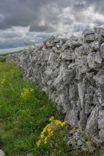 Stone wall in the karst landscape of the Burren, Keelhilla, Carran, County Clare, Ireland