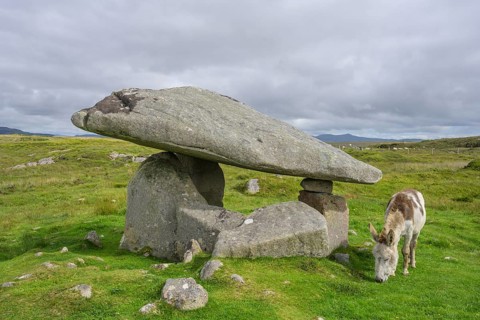 Donkey at the dolmen of, Kilclooney, County Donegal, Ireland