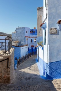 Narrow, winding street in a city with characteristic blue and white buildings under clear skies,