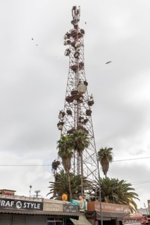 Tall radio tower with satellite dishes and palm trees in an urban setting under cloudy skies in