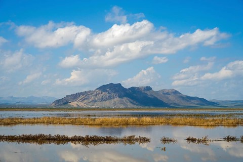 Peaceful mountain landscape with reflecting water and grassy shores under blue sky, Dogubayazit