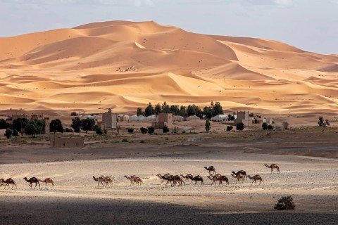 A caravan passes by a settlement in a vast desert landscape, Sahara, Morocco