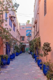 Quiet alley with pastel-colored buildings and blue plant pots
