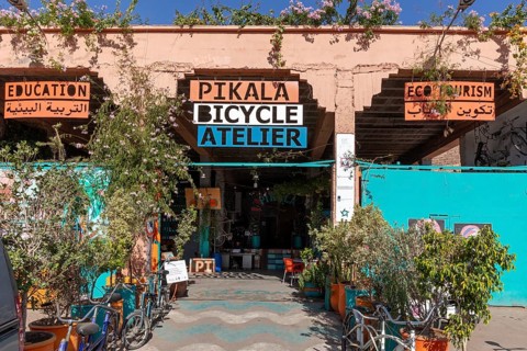 A lively studio in Marrakech, surrounded by plants and signs, that promotes cycling education and