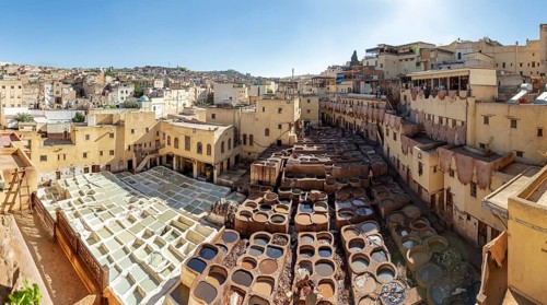 Extensive view of a historic city tannery showing the architectural layout and craft structure