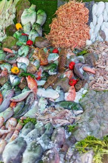 A colorful mix of fish and seafood at a market