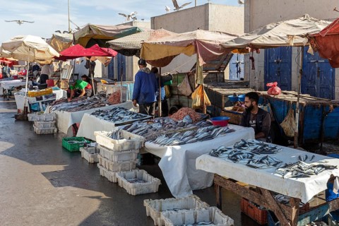 Market scene with fish stalls and vendors, colorful umbrellas and people in a peaceful atmosphere