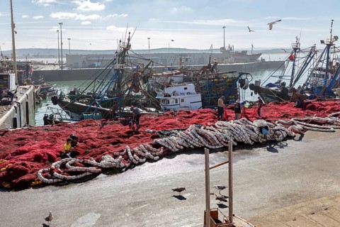 Harbour view with red fishing nets in the foreground, adjacent fishing boats and seagulls in the