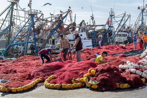 Men work on big red fishing nets, fishing boats in the background and seagulls in the sky