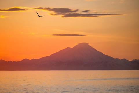 View over Cook Inlet to white mountain peaks of Mount Redoubt, at sunset, picturesque golden light