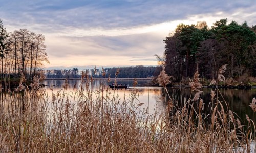 Neuendorfer See in the evening near Alt Schadow, Märkische Heide, in the Spreewald UNESCO Biosphere