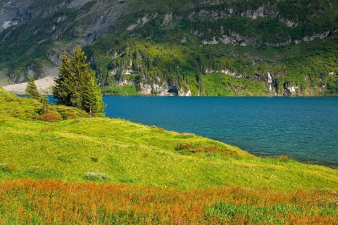Engstlensee near Engstlenalp, Canton of Bern, Switzerland