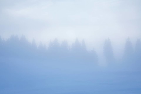 Thick fog slowly clears over snowy landscape