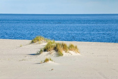 Sand dunes on the elbow on the island of Sylt, Germany
