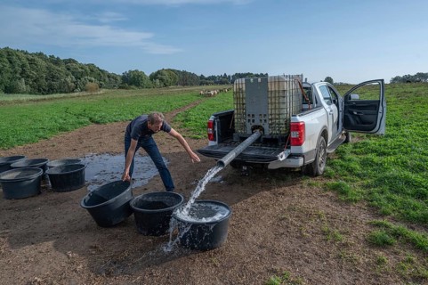 Young shepherd fills water tubs in the pasture for his sheep (Ovis gmelini aries), Othenstorf,