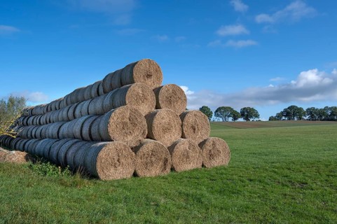 Stacked round straw bales from the agricultural cooperative on a meadow, Othenstorf,