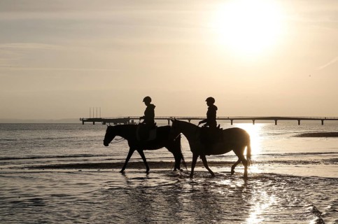 Two female riders ride their horses through the shallow water of the Baltic Sea at sunrise,