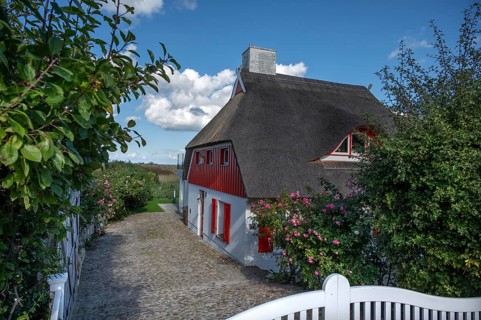 Private thatched house, Ahrenshoop, Darß, Mecklenburg-Western Pomerania, Germany