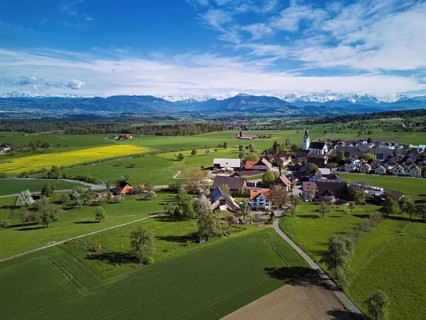 View of town with field of blooming rapeseed, Rigi and the snowy Alps in the back, Beinwil,
