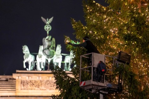 The big Christmas tree in front of the Brandenburg Gate, on Pariser Platz, is decorated with fairy