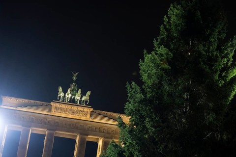 THW volunteers set up the Christmas tree delivered from Thuringia in front of the Brandenburg Gate,