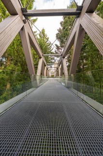 Architecturally impressive metal and wood bridge with glass railing against a wooded background,