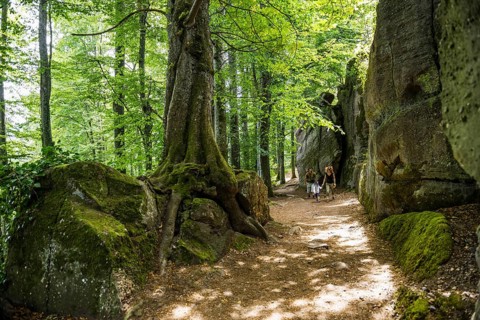 Hiking trail and rocks, Mont Sainte-Odile Abbey, Ottrott, Bas-Rhin Department, Alsace, France