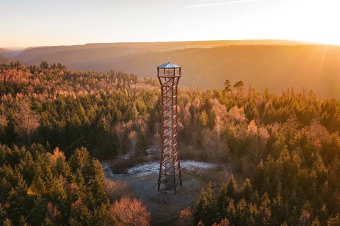 An observation tower stands in an autumnal forest at sunrise, Hohe Warte lookout tower, Hohenwart,