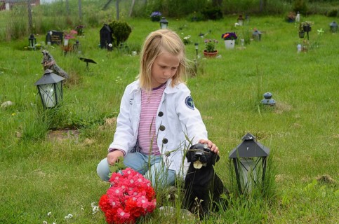 Grieving blonde 7-year-old girl at her dog's grave at pet cemetery in Ystad, Skåne County, Sweden,